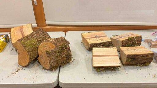Wood for woodturning