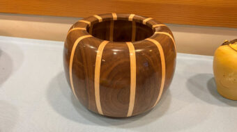 Segmented bowl with vertical stripes.