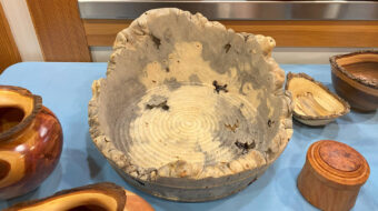 Huge buckeye burl bowl