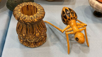 Woodturned vase turned from mamaku (a.k.a. Black tree fern) from New Zealand. Ant segmented turning by Michael Sage