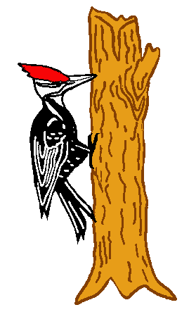 Logo of Santa Clara Valley Wood Carving club: a woodpecker on a tree.