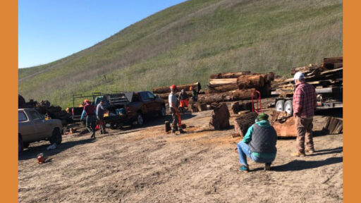 Wood cutting event