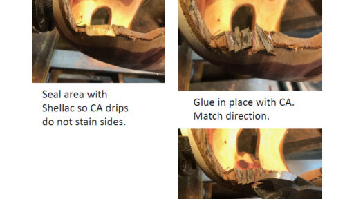 Bark repair with glue