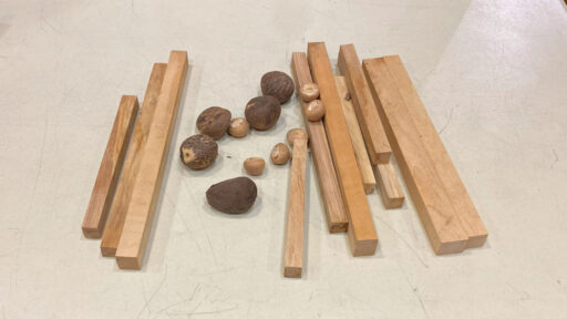 Participation prizes: woodturning pen-blanks and Tagua nuts.