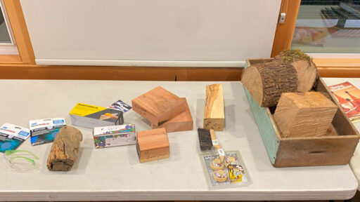 Woodturning bowl blanks, a brush, safety glasses...