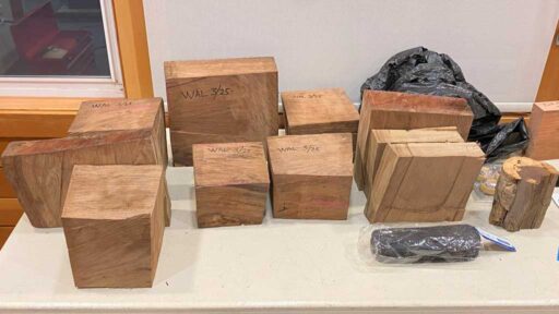 Walnut woodturning bowl blanks