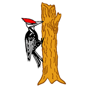Logo of Santa Clara Valley Wood Carving club: a woodpecker on a tree.