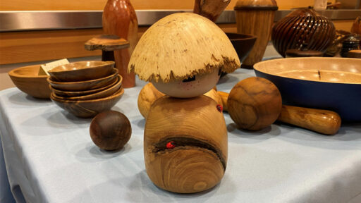 A whimsical turned-wood figure stands centrally on a table draped in light blue cloth, surrounded by various wooden bowls and vessels. The doll-like object features a large, textured cap of pale wood, resembling straw hair, and a small face with simple dot eyes and pink cheeks beneath. Its smooth, grain-heavy body has a dark horizontal inclusion containing a tiny red ladybug, with another ladybug attached to the side. To the left sits a stack of nested wooden bowls, while a large two-toned serving bowl lies to the right. The background is filled with other woodturning projects, such as vases and boxes, displayed at a club meeting.