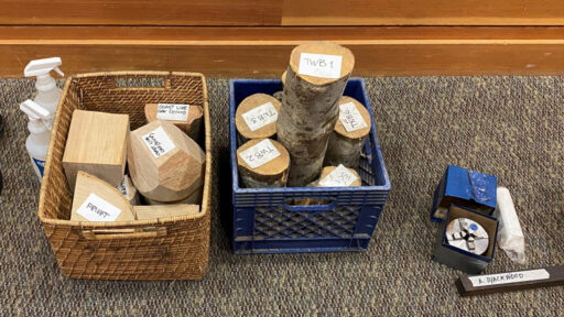 A collection of raw wood blanks and samples arranged on a carpeted floor, likely for a West Bay Woodturners club meeting. On the left, a wicker basket contains light-colored squared blocks and hexagonal chunks labeled 'PRIVET' and 'COAST LIVE OAK'. Beside it, a blue plastic crate holds rough cylindrical logs of English Walnut with bark still attached. To the right, smaller items include a dark wood slat labeled 'A BLACKWOOD' and an open box revealing a woodturning chuck.