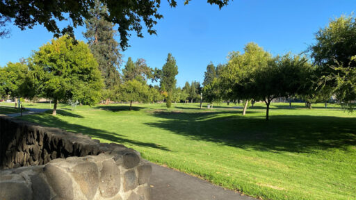 A sunny view of Cuesta Park in Mountain View, showing a low rock wall, a paved path, and a large grassy area with scattered trees under a blue sky.