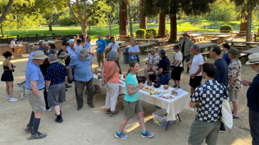 Members of the Silicon Valley and West Bay Woodturners gather around a table displaying turned wooden bowls and projects at an outdoor picnic in Cuesta Park, while a woman in a teal shirt speaks to the group.