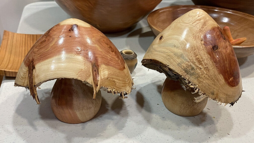 Two turned wooden mushrooms made from juniper and apple wood by Kelly Smith, featuring glossy caps and natural bark textures, were displayed at a West Bay Woodturners meeting.