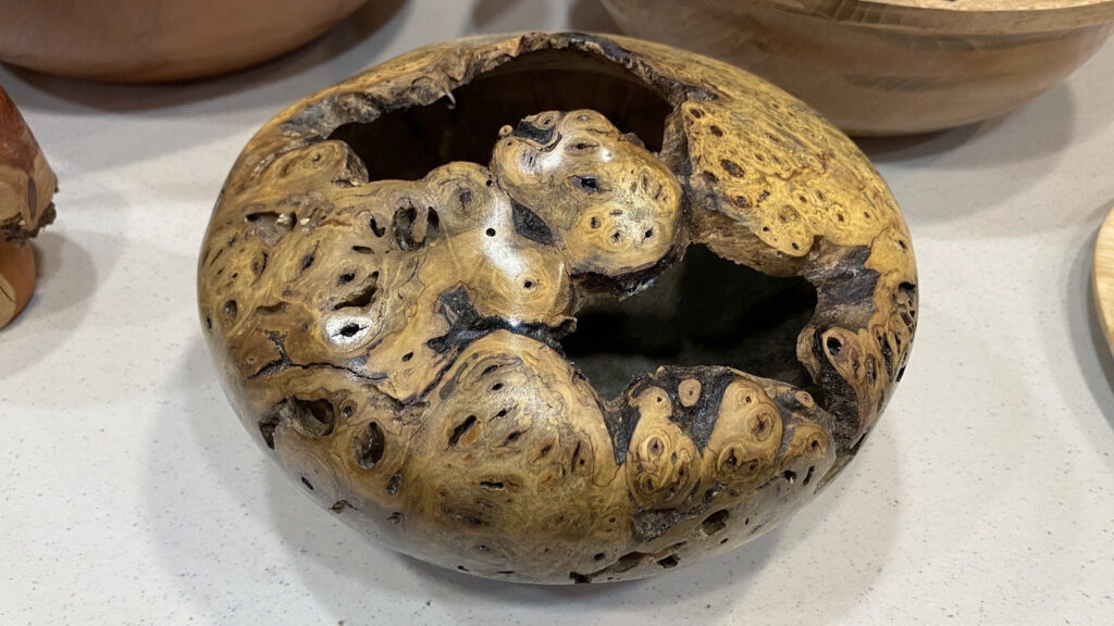 Polished olive burl vase by Kevin Lee featuring natural knots and irregular voids, displayed on a white speckled table at a West Bay Woodturners meeting.